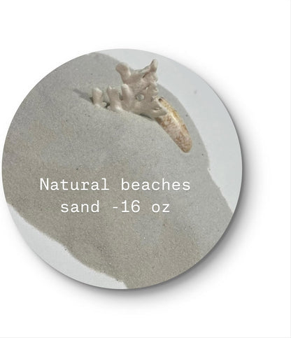 Hand holding clean natural Florida beach sand