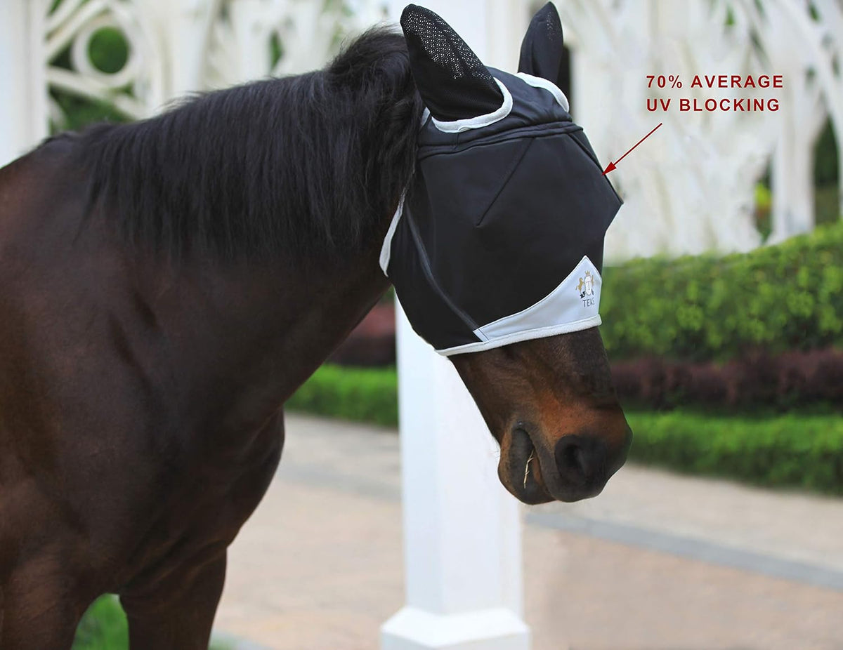 Close up of 3D eye visor on T Teke horse fly mask