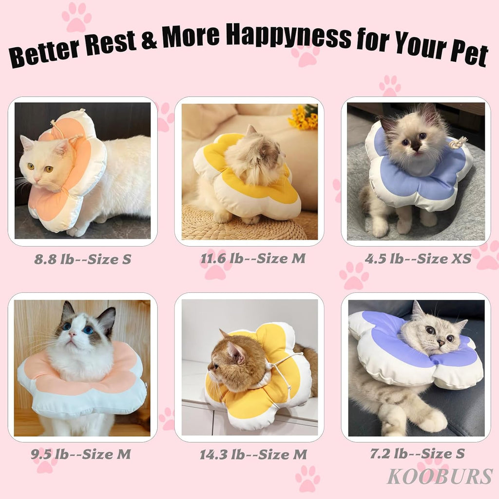 Anti licking kitten e collar showcasing lightweight flexible material