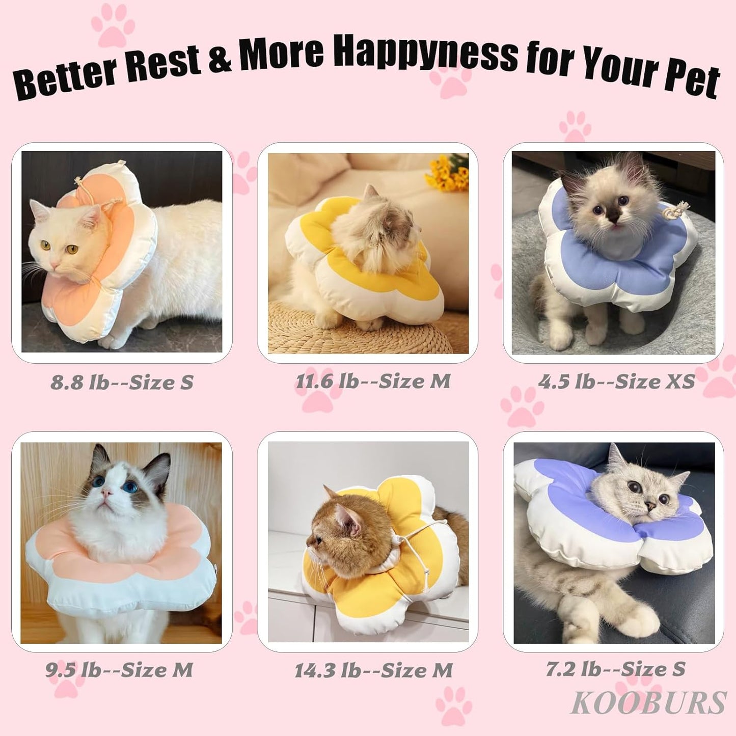 Anti licking kitten e collar showcasing lightweight flexible material
