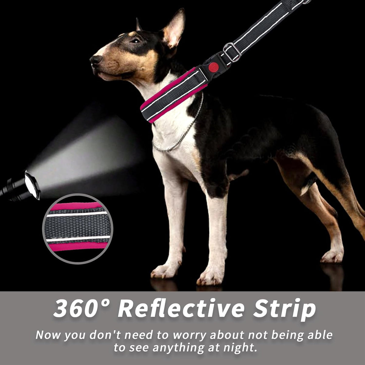 Anglevate dog collar branding and packaging authenticity