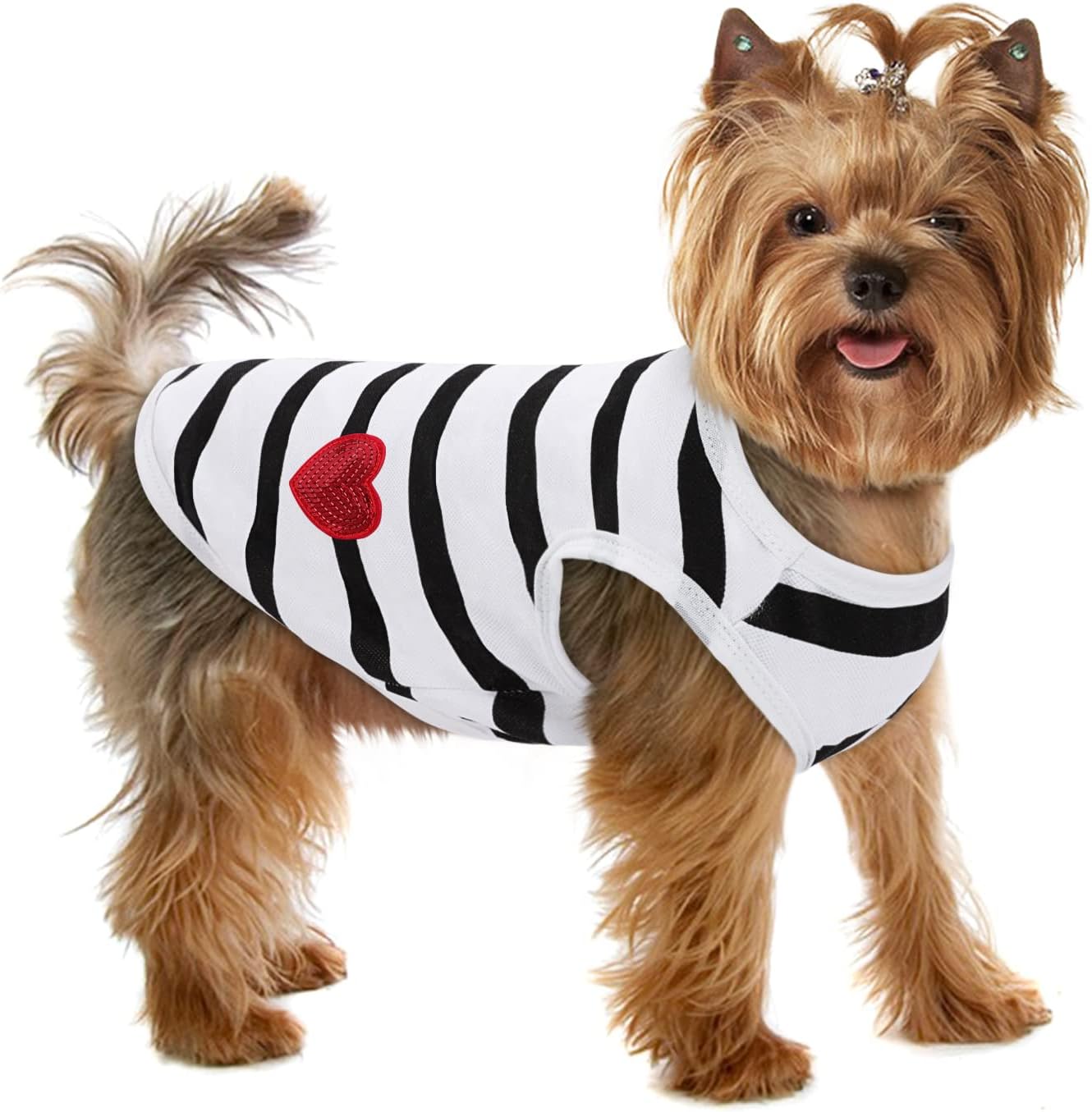 Preferhouse striped pet t-shirt front view with heart detail