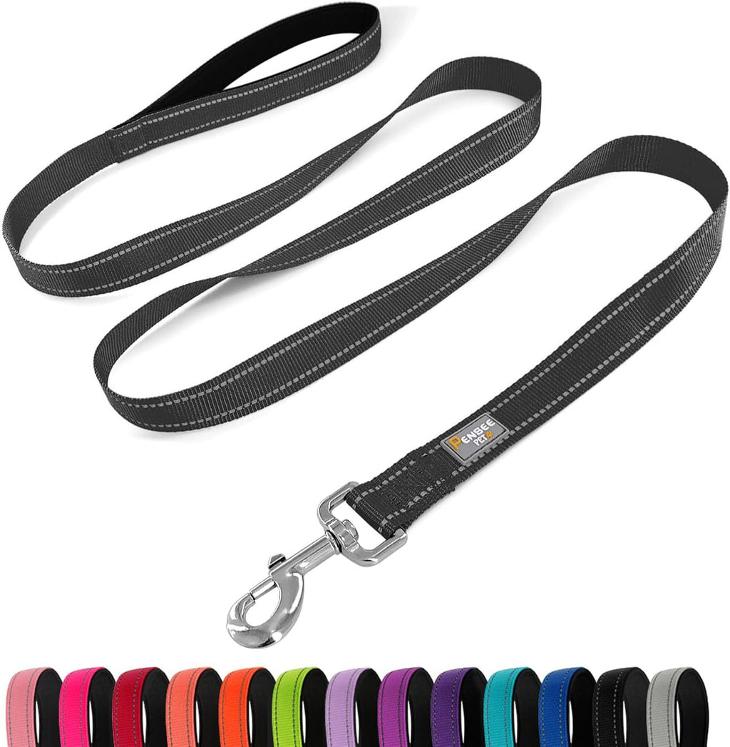 Penseepet reflective nylon dog leash front view showing padded handle