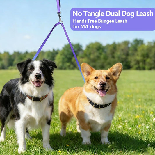 Violet dual dog running waist leash featuring the shock absorbing elastic bungee section stretched