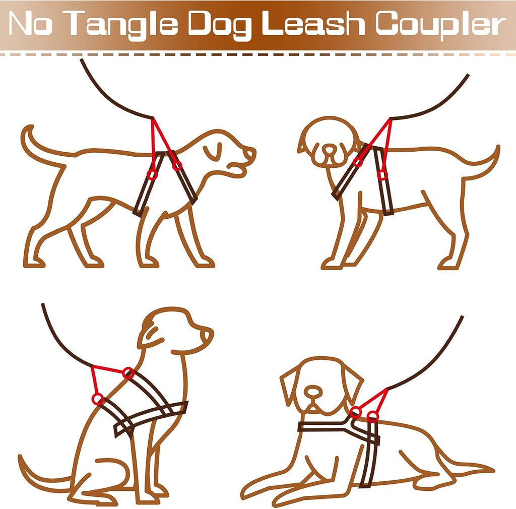 Demonstration of the Reginary heavy duty nylon dual clasp splitter attached to a pet harness and collar.