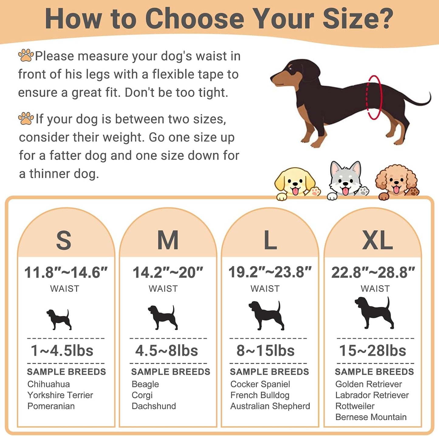 Adjustable hook and loop fastener details on a male dog belly band