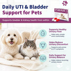Natural UTI Treatment for Cats & Dogs - Antibiotic-Free Urinary Tract Infection Support Supplement - Bladder & Kidney Health - Incontinence Prevention - 30 Capsules - Image 4