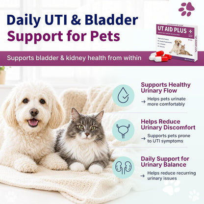Natural UTI Treatment for Cats & Dogs - Antibiotic-Free Urinary Tract Infection Support Supplement - Bladder & Kidney Health - Incontinence Prevention - 30 Capsules - Image 4