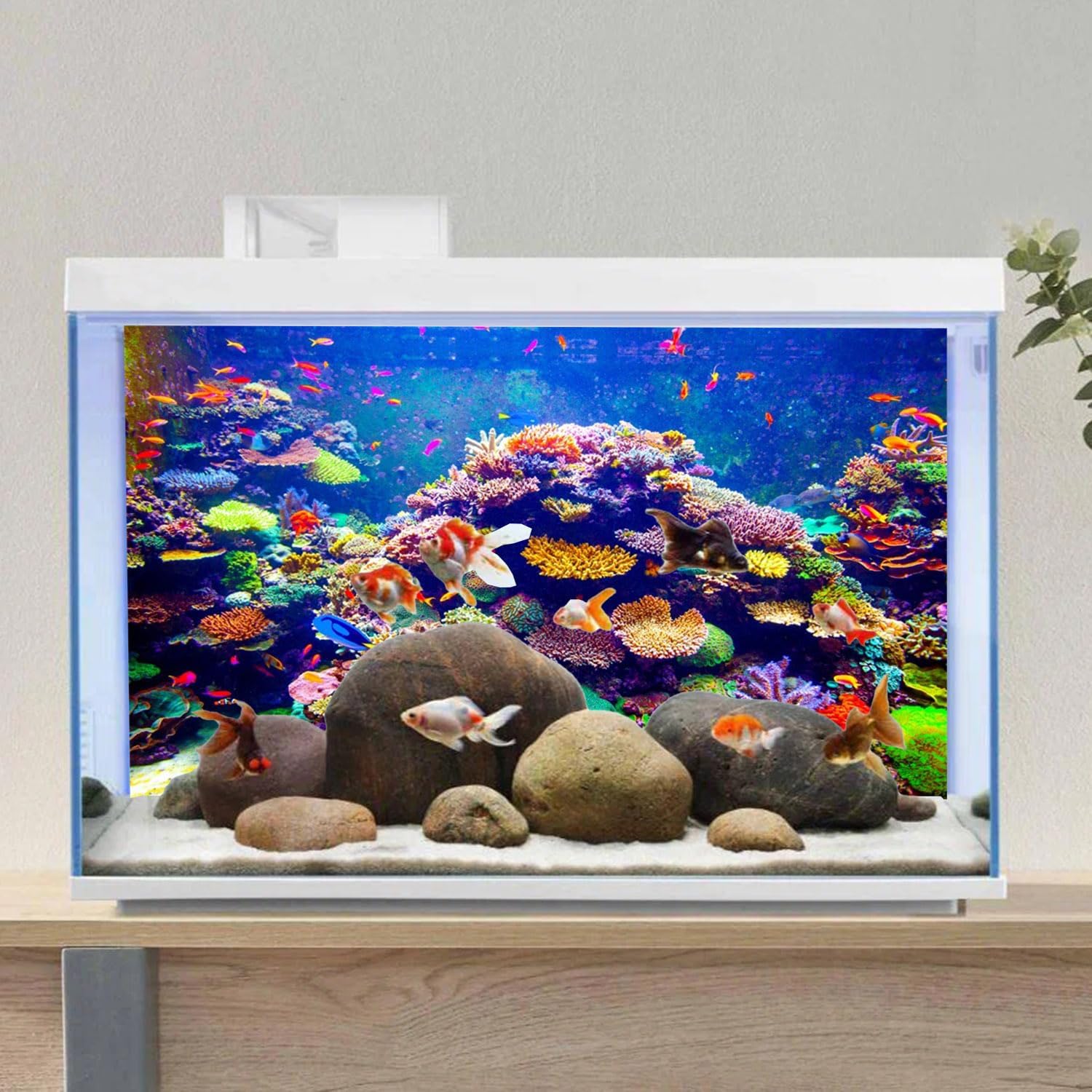 Reusable aquarium background poster measured at twenty-four by sixteen inches.