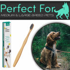 H&H Pets 3-count bamboo dental kit for puppies and cats