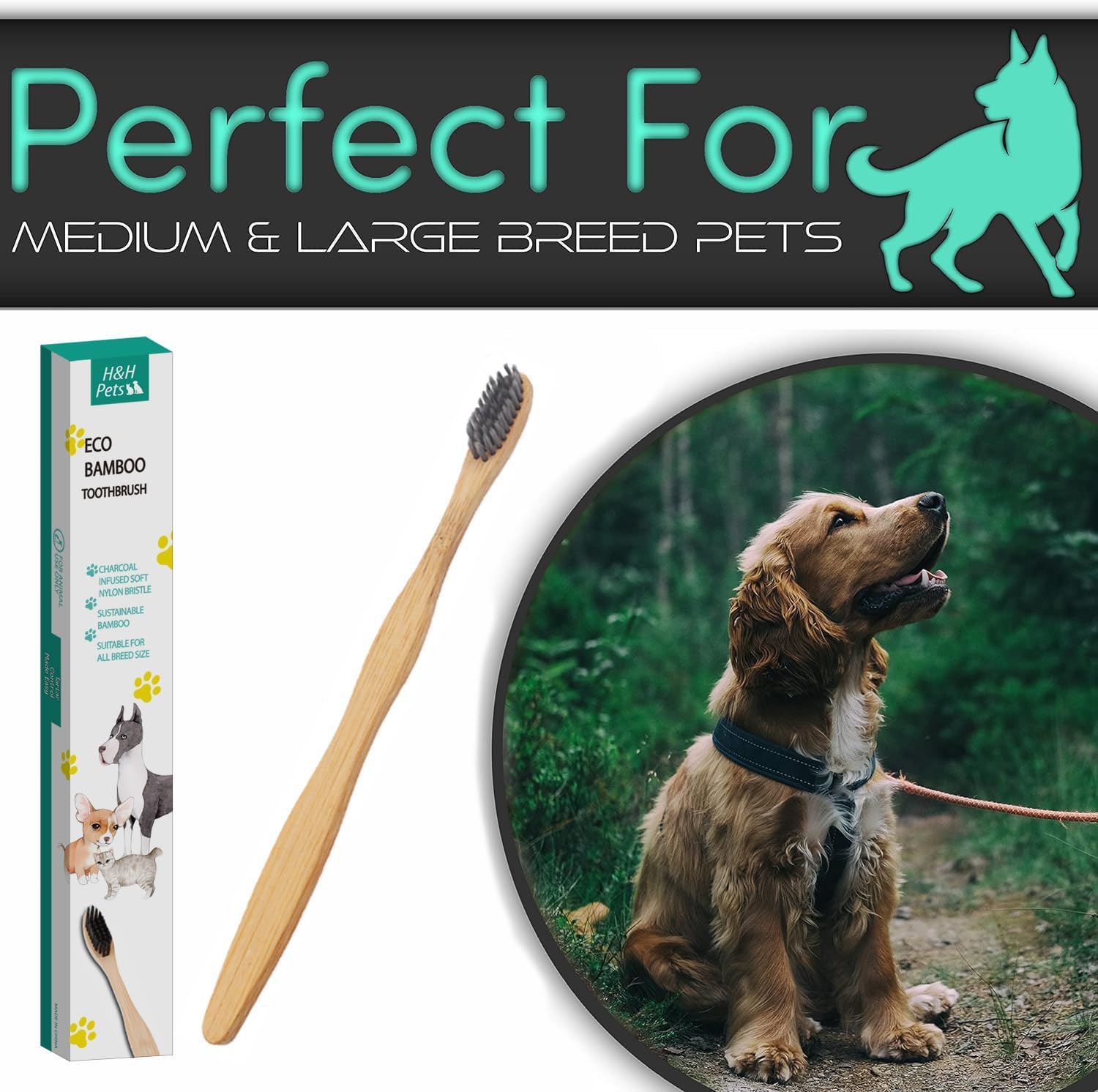 H&H Pets 3-count bamboo dental kit for puppies and cats
