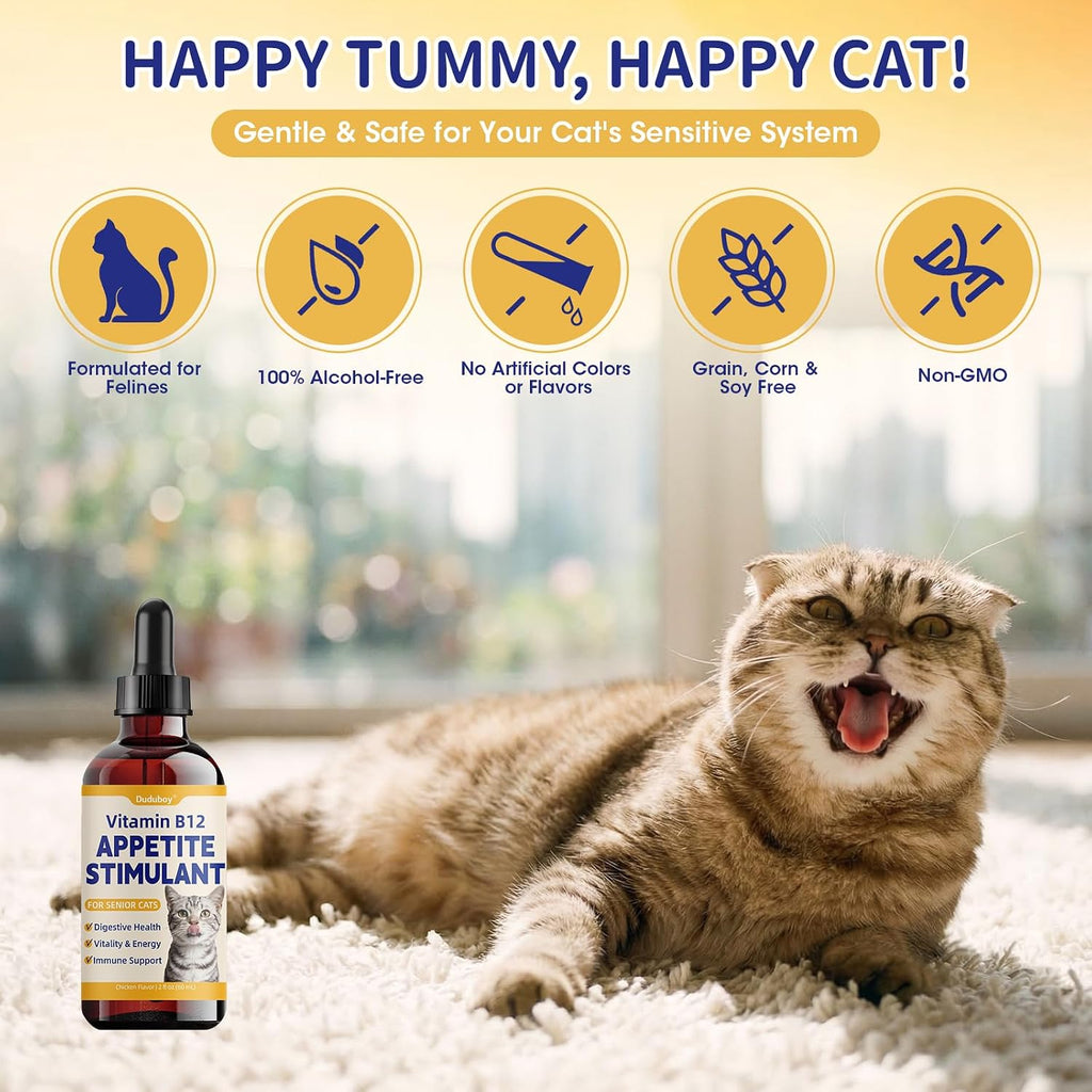 Authentic USA imported Duduboy cat vitamin supplement bottle displayed with its protective outer carton.