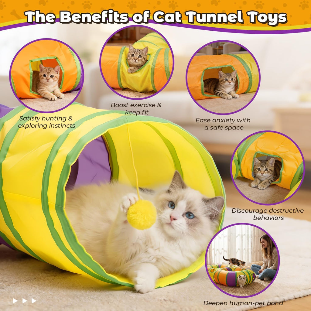 Kitten peeking out from the interactive center hole of the GUSTYLE 8-shaped tunnel.