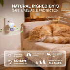 Two white plug-in diffusers and four liquid refills for cat anxiety relief.