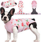 Kuoser pet surgery recovery suit front view on a dog