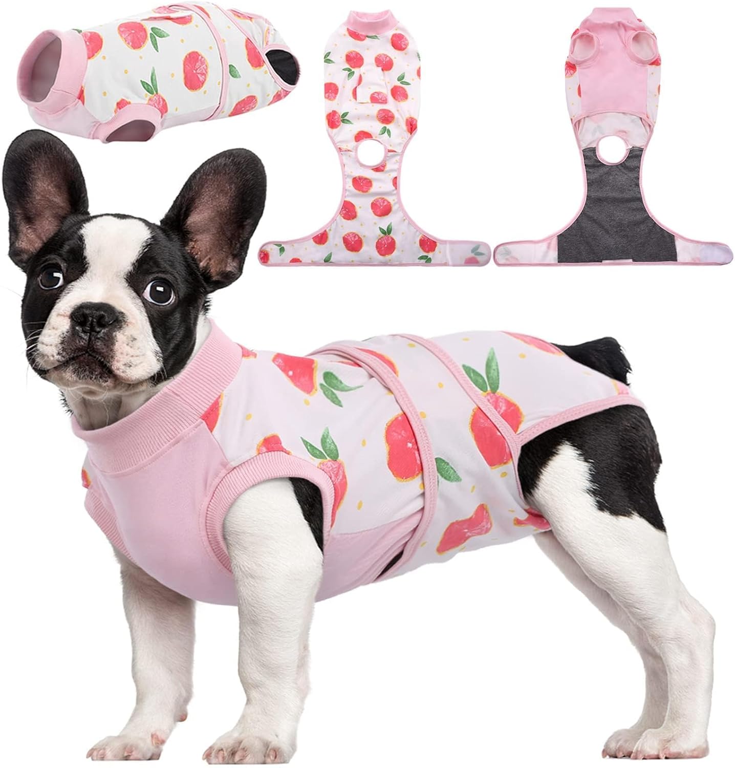Kuoser pet surgery recovery suit front view on a dog