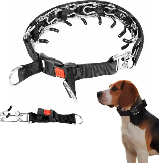 DFQ Comfort Dog Collar front view stainless steel training links