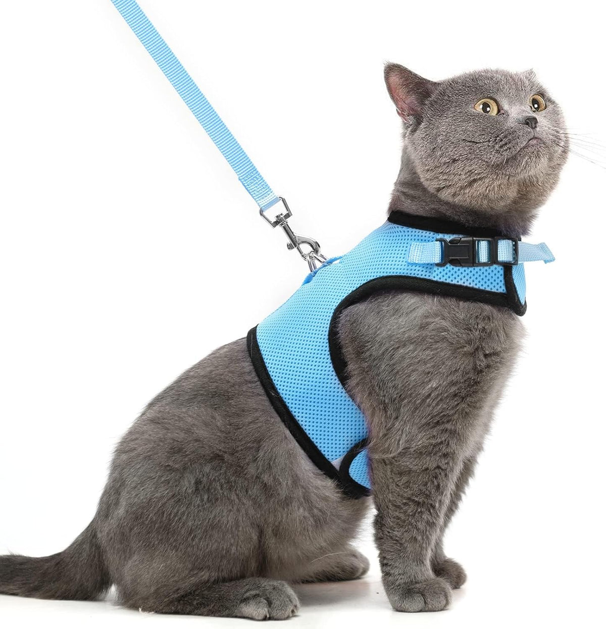 PUPTECK Soft Mesh Cat Vest Harness and Leash Set Puppy Padded Pet Harnesses Escape Proof for Cats Small Dogs (X-Large, Lake Blue) - Image 12