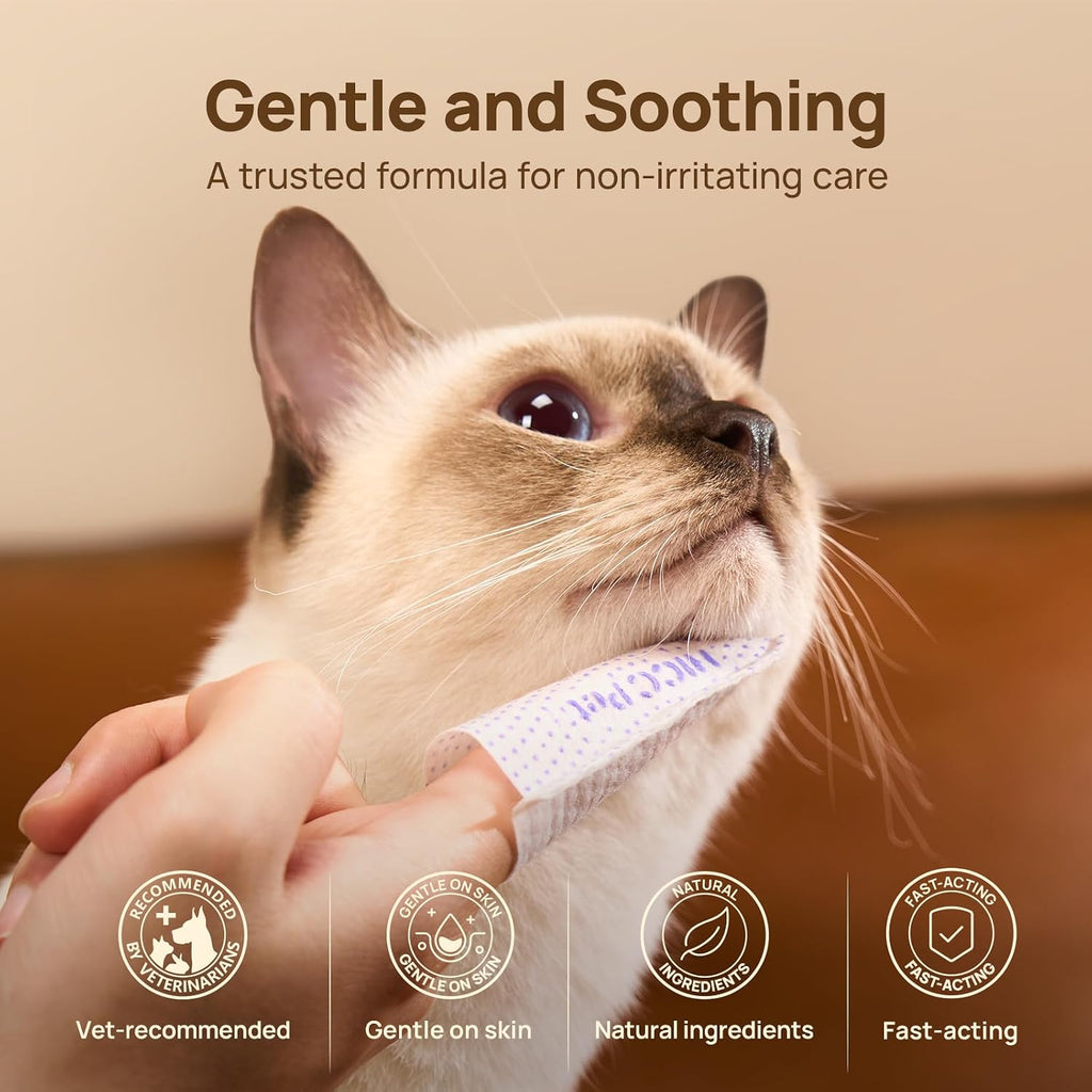 Vet recommended feline skin care wipes for removing excess sebum and dirt.