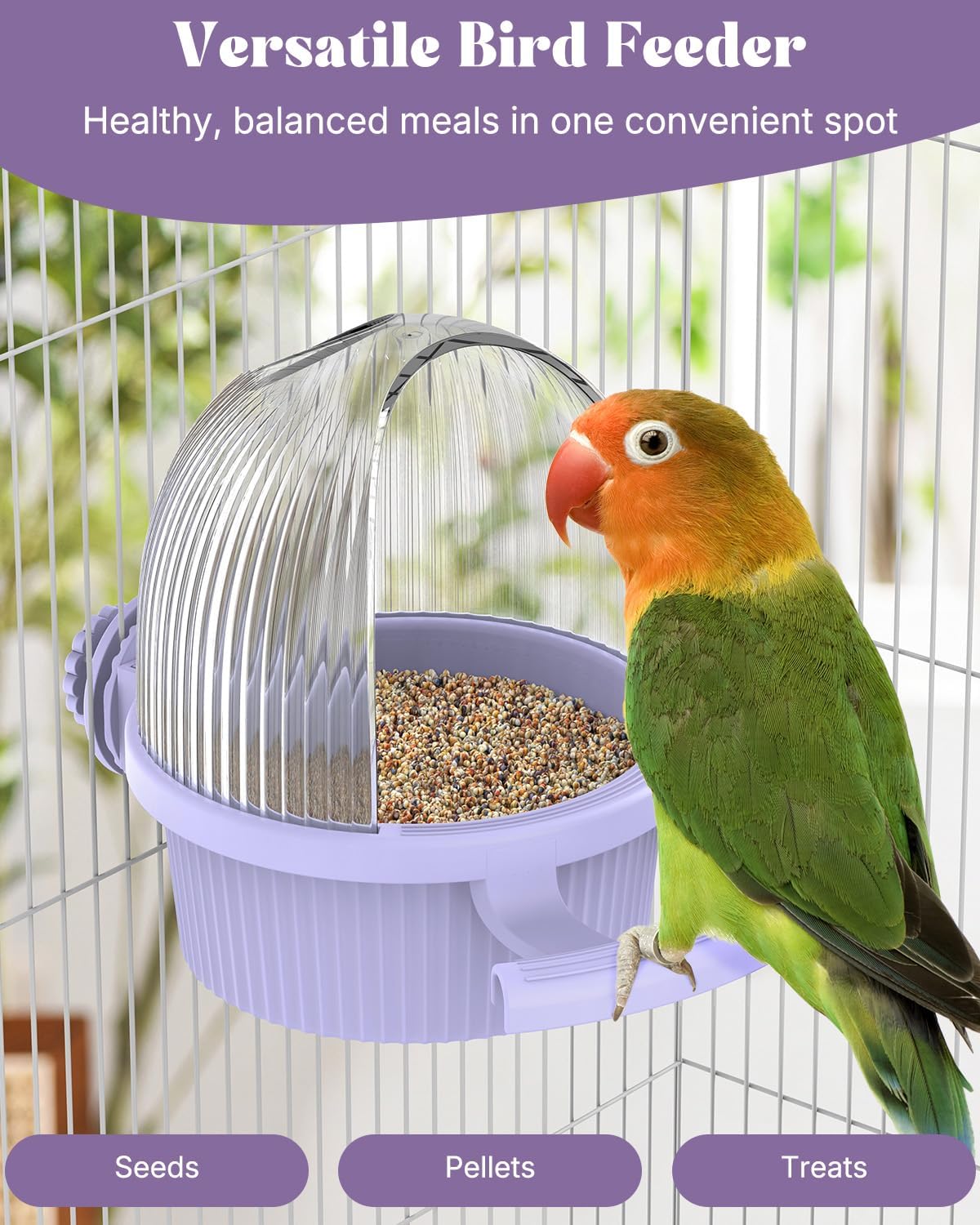 Close up of built in perch on bird feeder