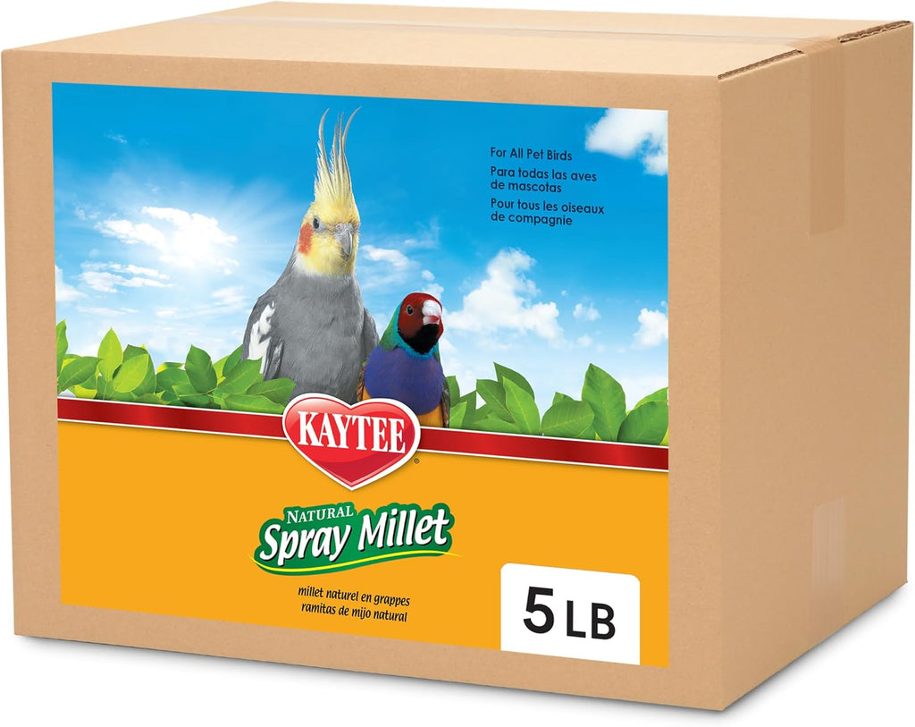 Kaytee Spray Millet Treat for Pet Birds, 7 Ounce - Image 9