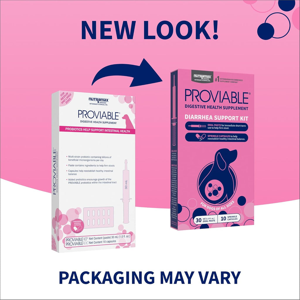 Nutramax digestive health supplement oral syringe and probiotic capsules for dogs.