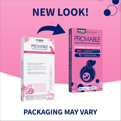 Nutramax digestive health supplement oral syringe and probiotic capsules for dogs.