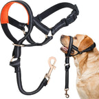 Barkless no pull dog head collar front view