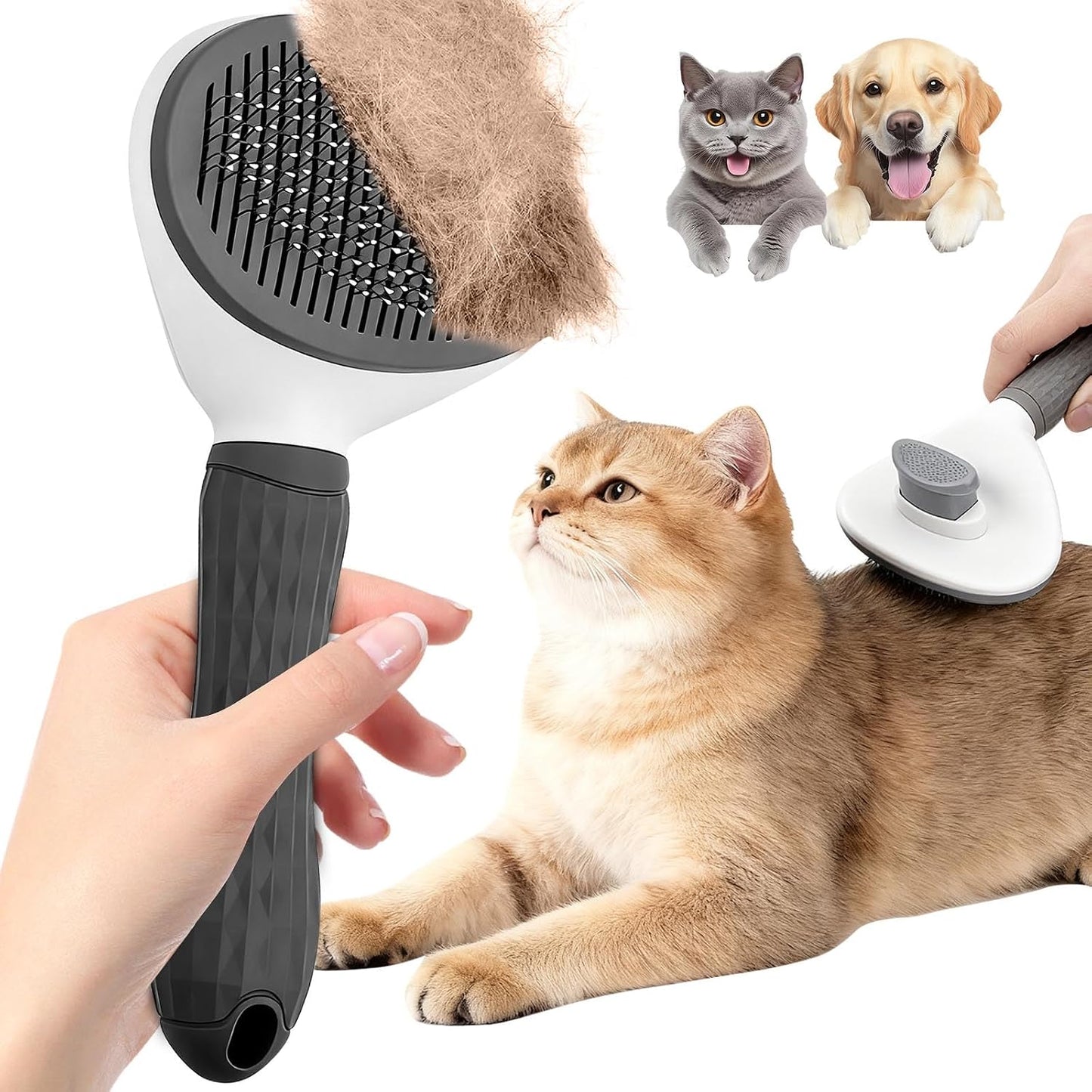 Generic self-cleaning slicker brush front view for pets