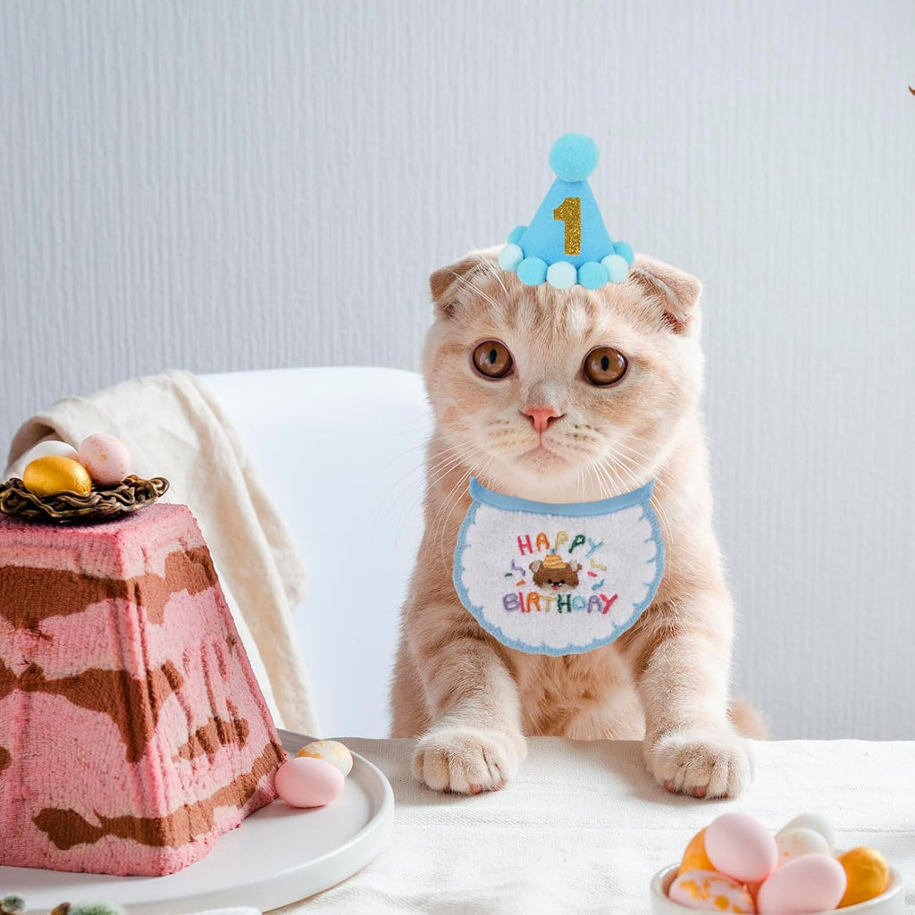 Cat wearing PTDECOR birthday hat with golden number attachment
