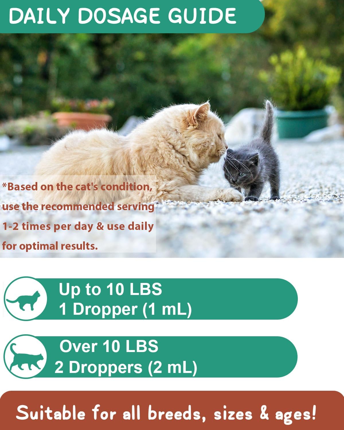 Imported feline hairball remedy liquid formula with psyllium husk