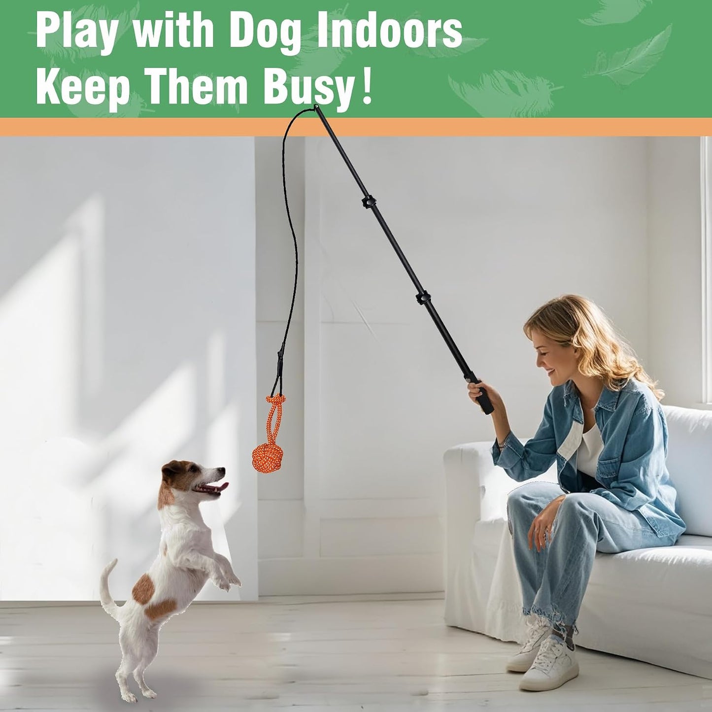 SailStart outdoor agility dog training wand kit items arranged neatly on flat surface