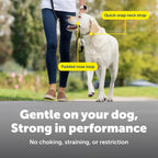 PetSafe Gentle Leader No-Pull Dog Headcollar - The Ultimate Solution to Pulling - Redirects Your Dog's Pulling for Easier Walks - Helps You Regain Control - Medium, Black - Image 4