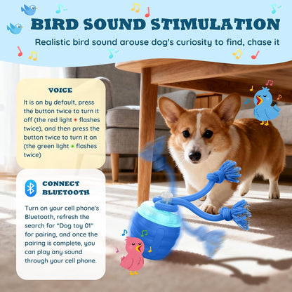 USB rechargeable motion sensing dog toy ball