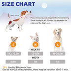 Kooltail dog collar with ID tag attachment ring