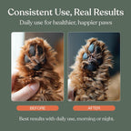 Close-up of the silicone brush head on the Dandylion Soft Paws lotion dispenser