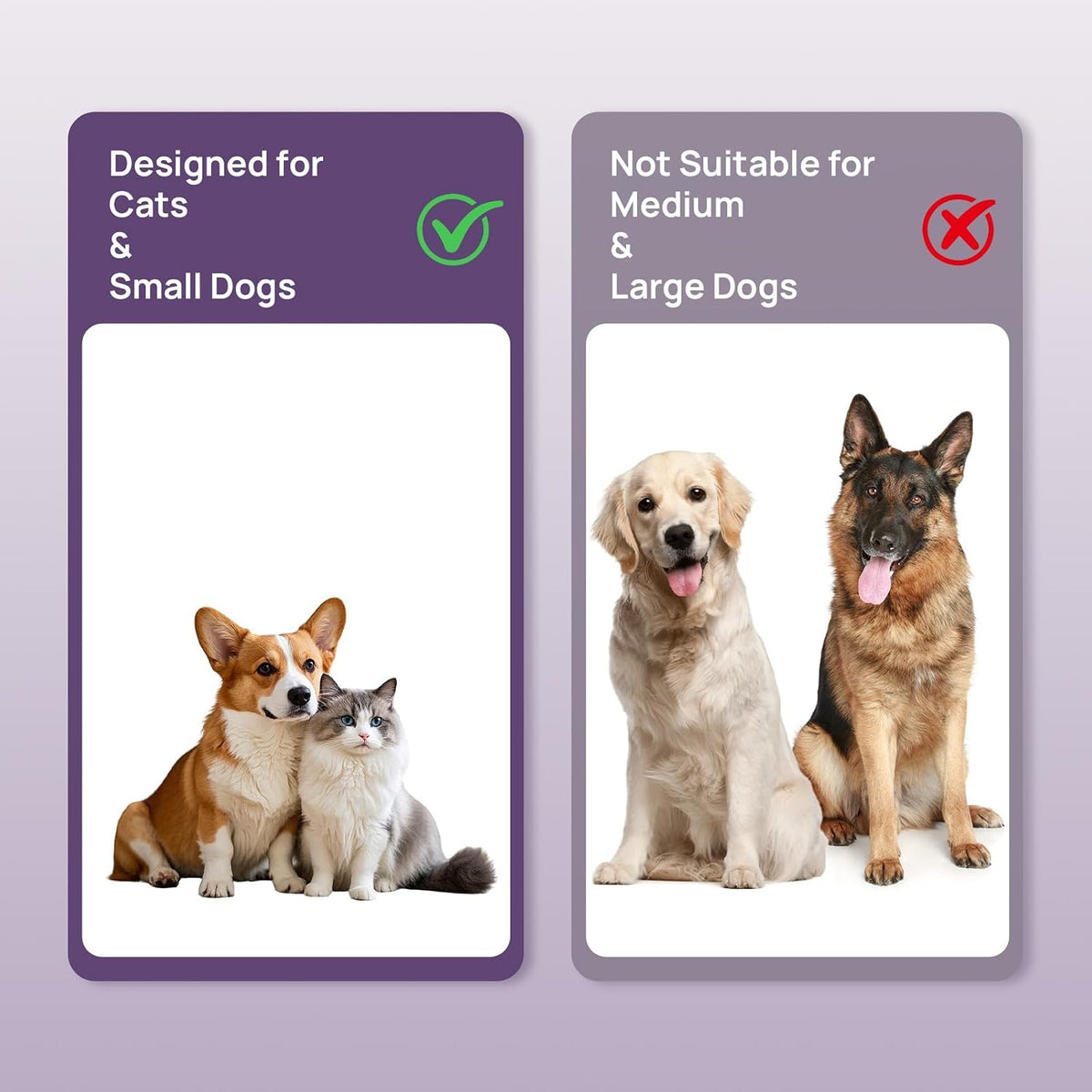 Hicc Pet toothbrush packaging for cats and dogs