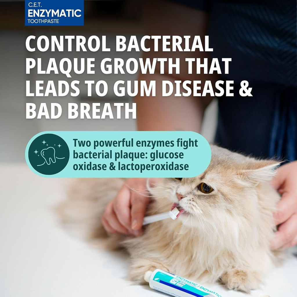 Back view of the product packaging highlighting dual enzyme system details