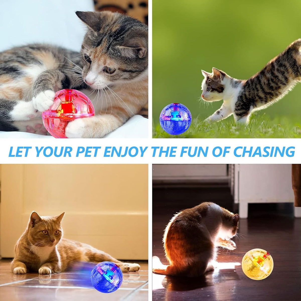 Sratte clear motion pet toys being packed for travel and outdoor pet training.