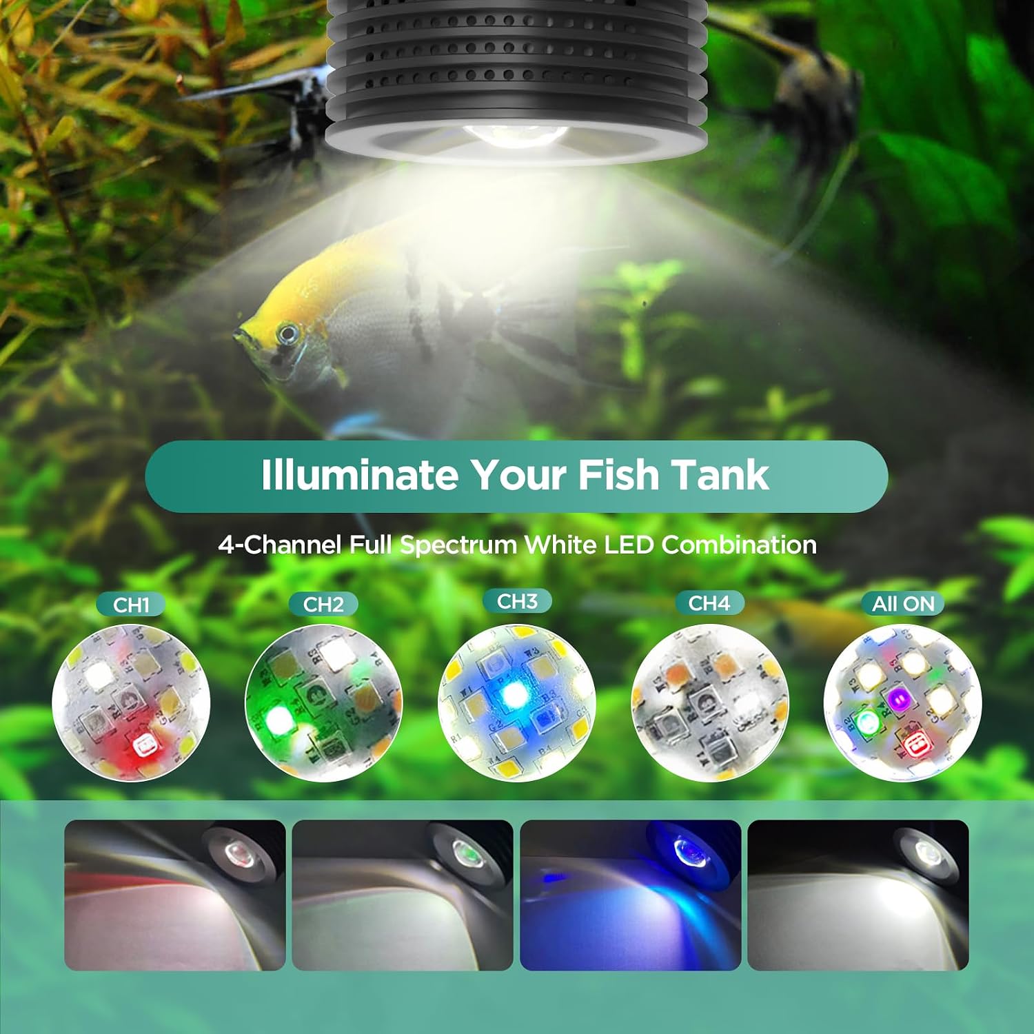 LED aquarium light mounted on freshwater tank