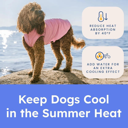 Side profile of a dog wearing the Gold Paw cooling sun shirt