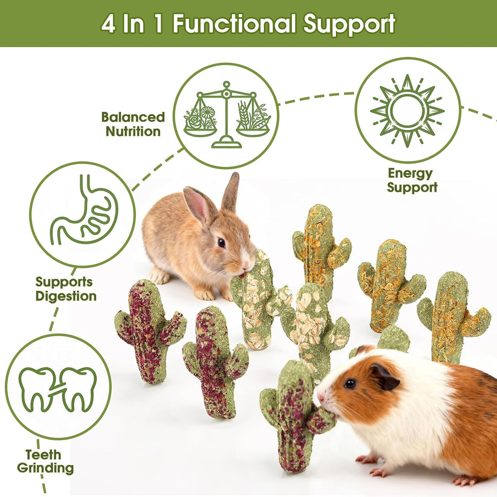 Abizoo timothy hay snacks packaging presentation illustrating the premium USA imported quality for hamsters