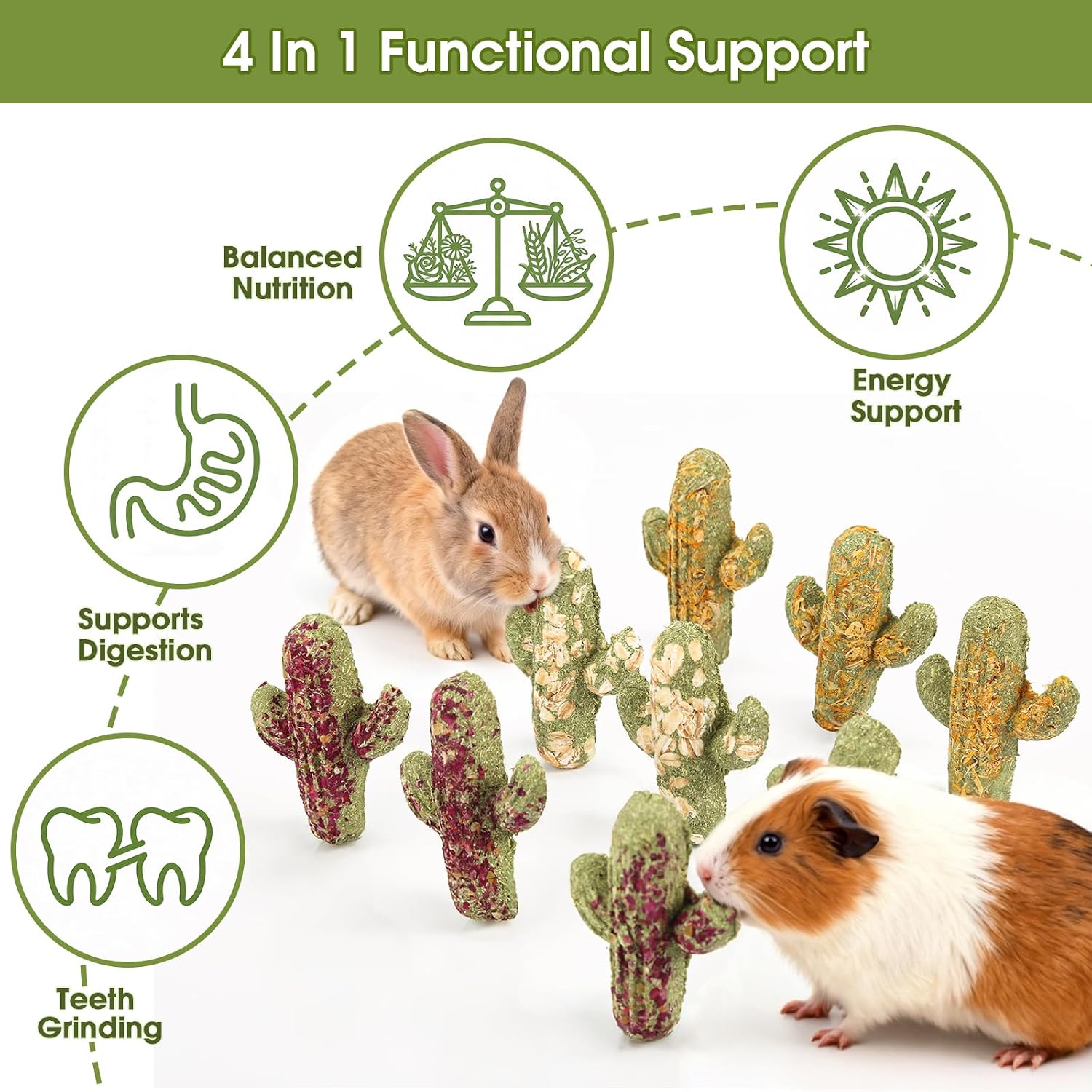 Abizoo timothy hay snacks packaging presentation illustrating the premium USA imported quality for hamsters