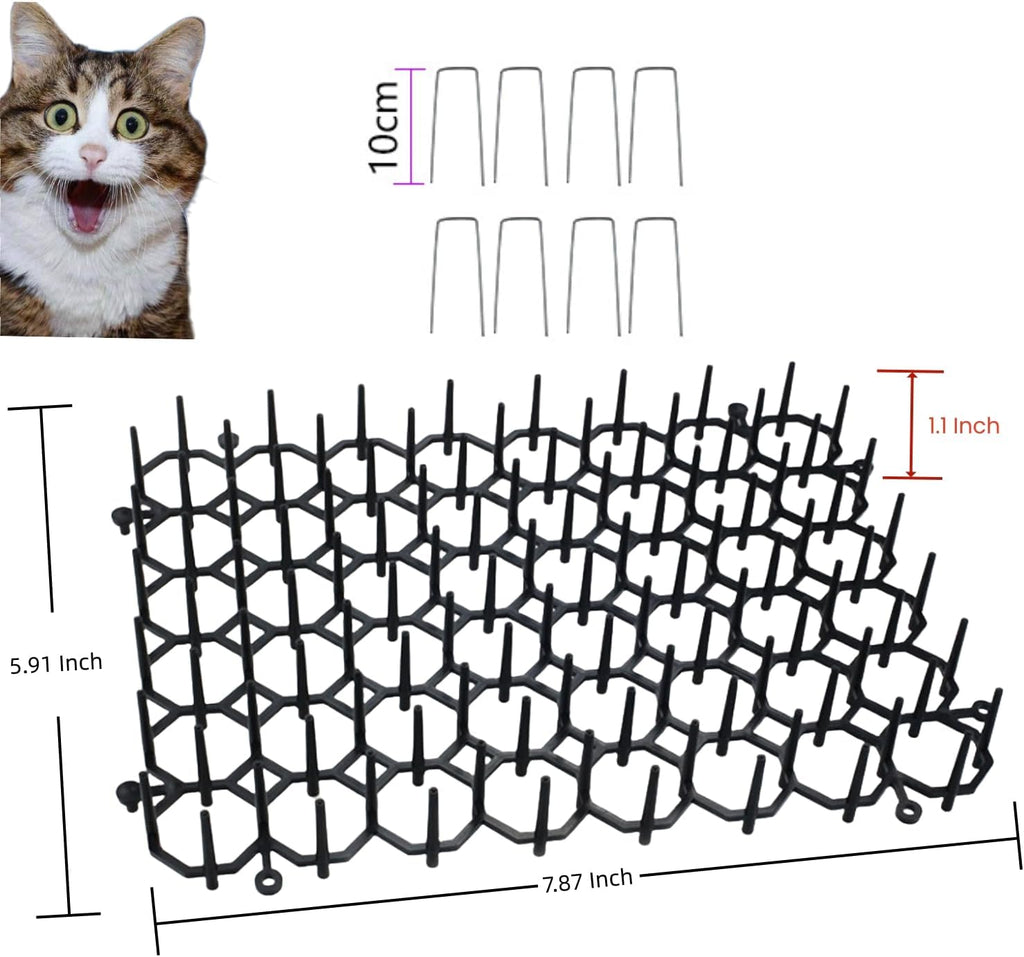 Pet training mat protecting indoor living room sofa