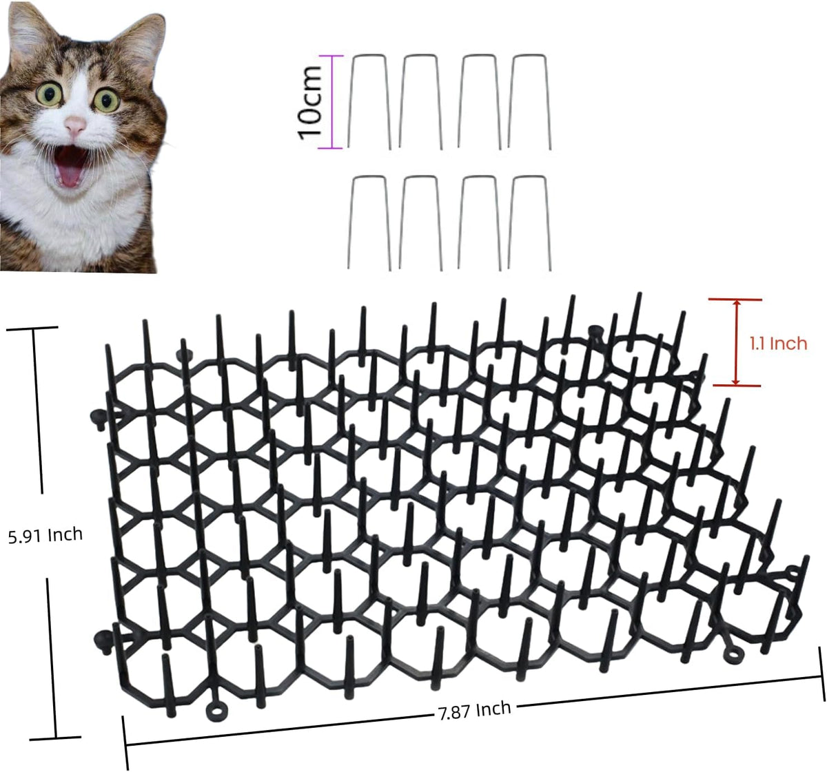Pet training mat protecting indoor living room sofa