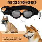 Dog wearing protective goggles during outdoor activity