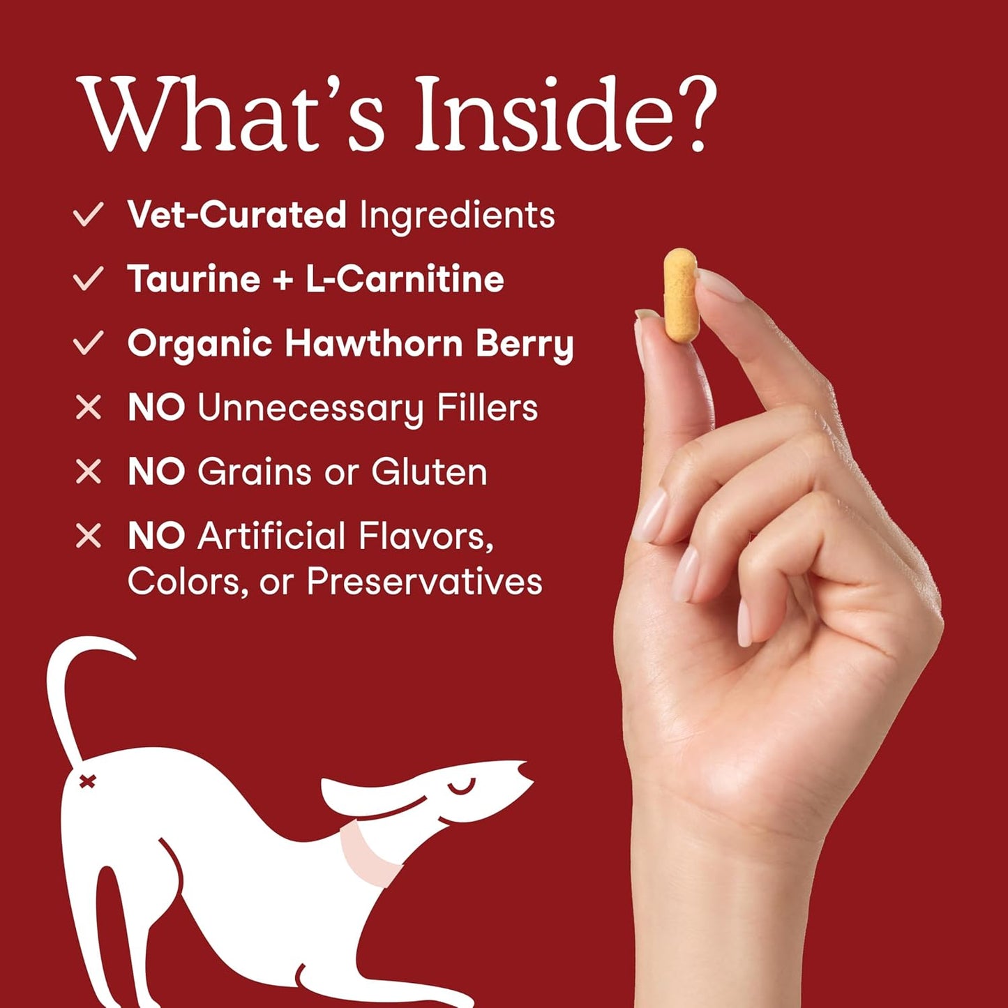 Salmon flavored cardiac support capsules for pets