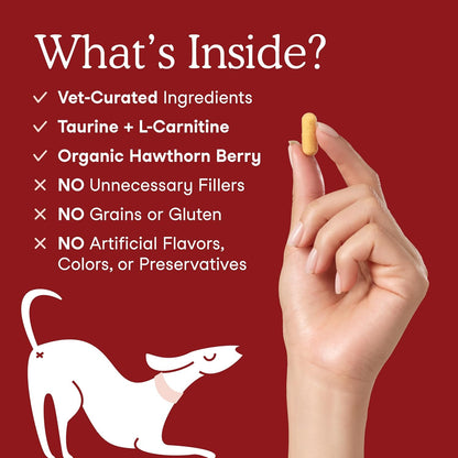 Salmon flavored cardiac support capsules for pets