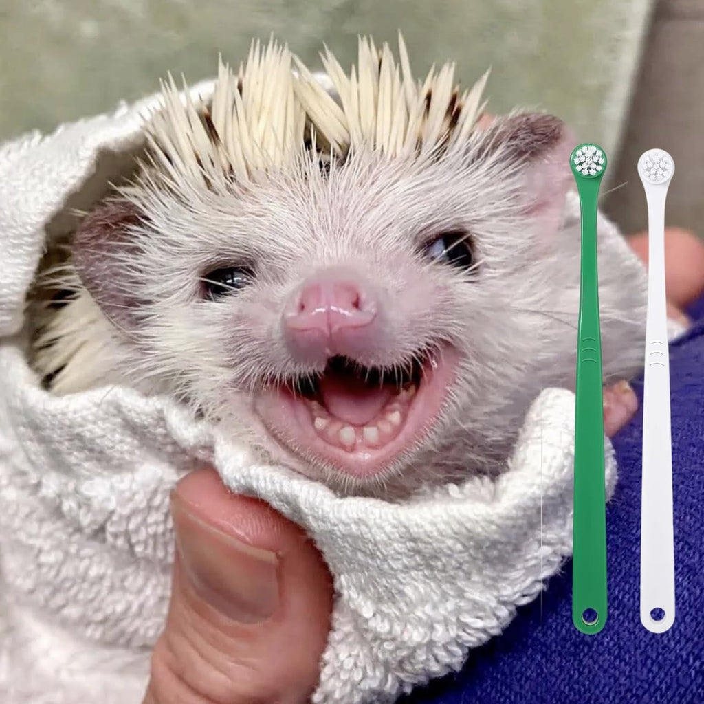 PUMEXFE hedgehog and ferret toothbrush highlighting the long ergonomic handle design.