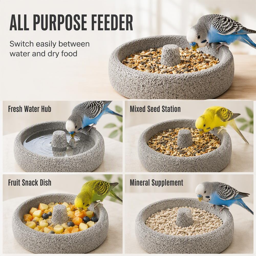 Durable wear-resistant pumice stone base view